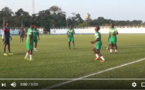 Séance d'entraînement des Lions dans une bonne ambiance