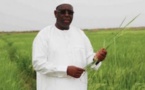 Le Sénégal vise une "émergence inclusive", selon le Président Macky Sall