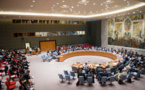 Le Conseil de sécurité condamne l'attaque contre une équipe de l'ONU à la frontière Cameroun-Nigéria