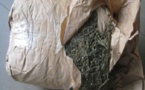Trafic international de chanvre indien, vol commis en reunion avec usage de vehicule: Alexandre Sakou risque 10 ans de prison ferme, Amadou Koné l’acquittement
