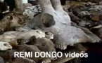 Documentaire: le  Vaudou, de quoi s'agit-il ?