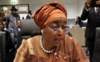 Nigeria : l’ex-ministre du Pétrole condamnée à rembourser 140 millions d’euros à l’État
