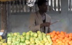 Vidéo: Dudu joue la parodie de Gallo Guénéma deukbi