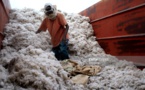 Sénégal : pourquoi la production cotonnière de Sodefitex a baissé en 2016