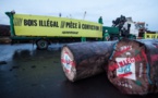 Le Sénégal et la Gambie en guerre contre le trafic de bois