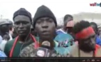 Video - Insolite