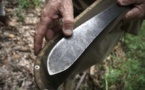 Un père, ivre, tranche l'oreille de son fils à la machette