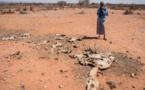 Somalie: 110 décès en 48 heures à cause de la sécheresse