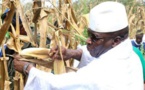 Guinée Equatoriale:Yahya Jammeh veut se lancer dans l’agriculture