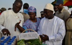 Célébration de la journée internationale de la femme: le Ministre Oumar Guèye accompagne les femmes de Kounoune Ngarap