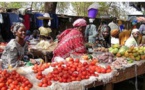 Agriculture : comment l'Afrique de l'Ouest s'y prend sur les marchés internationaux