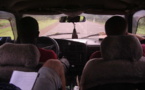 Chauffeur sérieux cherche travail...