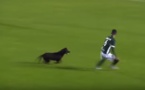 Vidéo: Les moments les plus drôles du foot 2017..regardez!