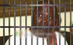 Vidéo - Affaire de la Caisse d'avance de la Mairie de Dakar: Le film de l'arrestation de Khalifa Sall jamais raconté...Regardez