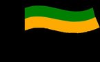 La faction dissidente de l'ANC lance son propre parti