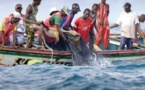 Drame au large des côtes sénégalaises: La Marine repêche 16 cadavres de pêcheurs