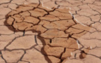 L'Afrique compte 145 000 millionnaires