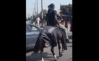 Photos : un cheval et son cavalier à la manifestation de Y'en à marre