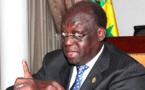 Tête de liste nationale « BBY » aux législatives: Seydou Guissé Sall de « BSS » plébiscite Moustapha Niasse…