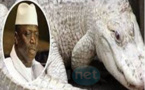 Vidéo choc: Voici le lieu où Yahya Jammeh enterrait les hommes qu’il… (Ames sensibles, s'abstenir)