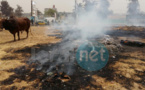 PHOTOS: Incendie à Sicap Mbao "Fora"