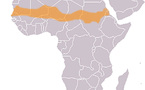 Ouverture à Dakar d'un colloque