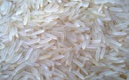 Affaire du Riz "en plastique": selon Dr Fallou Sarr, le plastique ne peut pas donner du riz