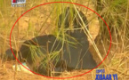 Vidéo – Urgent : Un homme mort retrouvé ligoté derrière le dépotoir de Mbeubeuss ! Regardez.