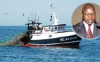 Oumar Guèye, ministre de la Pêche : «La pêche illégale fait perdre au Sénégal 150 milliards de F Cfa »