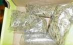 Trafic de drogue Zale Lô N°2. LE lutteur de l’écurie de Fass arrêté