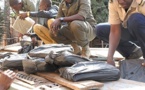 Trafic de drogue : Saisie 112 kilogrammes de chanvre indien à  Tambacounda et Thiès