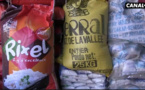 Vidéo – Le Sénégal donne un coup de pouce à ses producteurs de riz