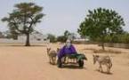 Manif des populations de Mbane : Prêtes à tout pour récupérer leurs terres !