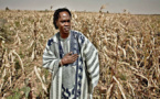 Baaba Maal installe à Thiès la cellule d’un mouvement économique