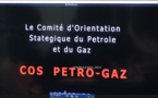 Images - Le comité d'Orientation Stratégique du Pétrole et du Gaz