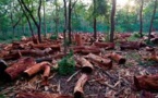 Linguère : Un indicateur des Eaux et Forêts tire sur un chauffeur