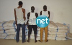 Trafic international de drogue: Plus d'une tonne de chanvre indien de variété "BROWN"  saisie à Dakar, 4 personnes "interpellées"