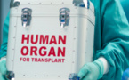 Egypte : un réseau de trafic d’organes démantelé