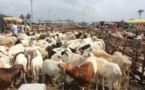 Tabaski 2017 : Macky Sall offre des moutons et plus de 80 millions de FCFA aux couches vulnérables