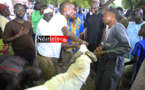 ( 03 Photos ) Au foirail de DAROU, Mansour FAYE achète un gros bélier à … FCFA