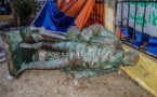  (Photos) La statue de Faidherbe tombe naturellement ce 5 septembre 2017