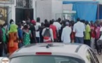 L’étau se resserre autour du meurtrier d’Awa Ndiaye : La police piste, dans Dakar un éleveur de pitbulls