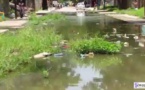 Ziguinchor: Entre inondations et saletés, les populations de Belfort abandonnées par la mairie