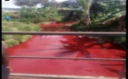 Ghana : un cours d’eau se transforme en mare de sang (vidéo)
