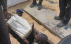 Pout : Saisie de 824 kg de chanvre indien, un Nigérian arrêté par la gendarmerie
