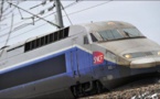 FRANCE: Une mère et sa fille de 3 ans percutées par un TGV
