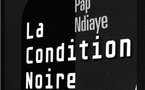 Pap Ndiaye, La Condition noire. Essai sur une minorité française