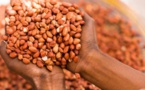 Campagne arachidière : L’Ue rejette l’arachide sénégalaise