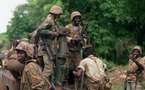 Casamance : l’armée sénégalaise en échec ?