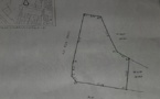 Urgent : Terrain à vendre titre foncier 1000 m2, rue Tolbiac, au cœur de Dakar Plateau, contact : +22176 573 30 76
